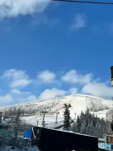 Йети хаус - 56
