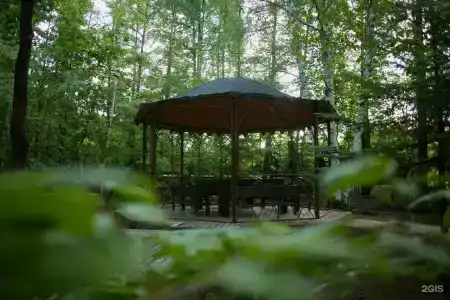 Золотой Дракон - 107