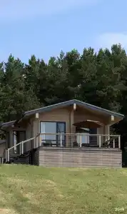 BorWood - 54