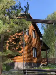 Шишкин Лес - 13