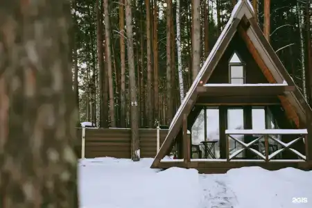 Клевер - 64