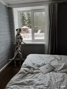 Vyritsa Village - 83