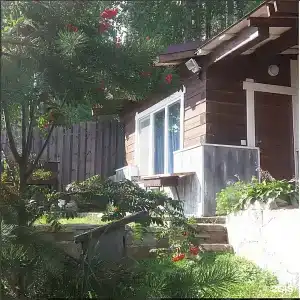 Lake & Forest - 45