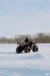 Пара Альпак - 44