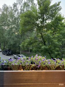 Бунинъ - 43