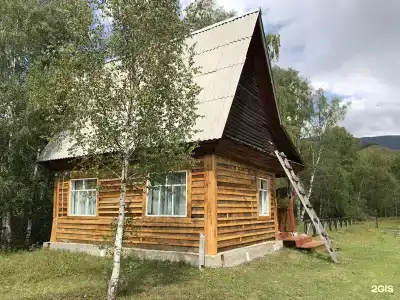 Тюнгур - 55