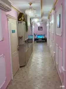 Фикус - 2