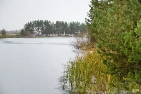 Карельская - 56