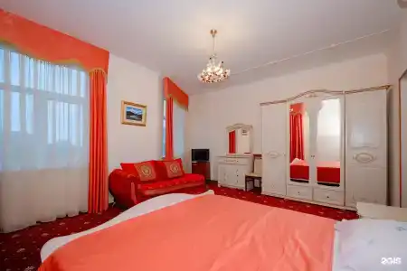 Кипарис - 12