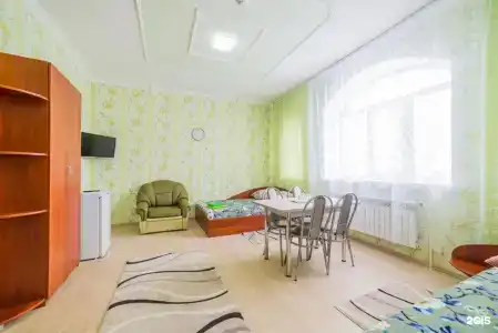 Чайка - 10