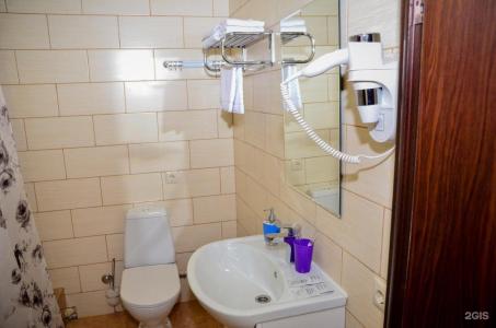 Домодедово-Александрия - 36