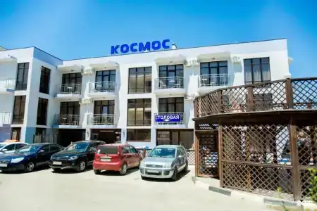 Космос - 81