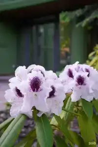 Soderi's Residence & Spa - 47