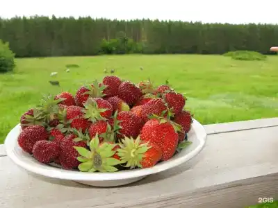 Теплый хутор - 26
