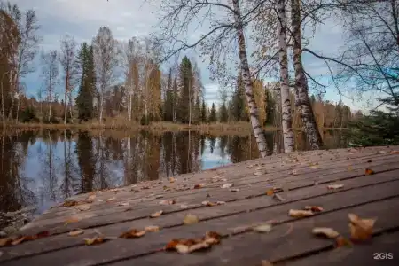 Озерки - 38