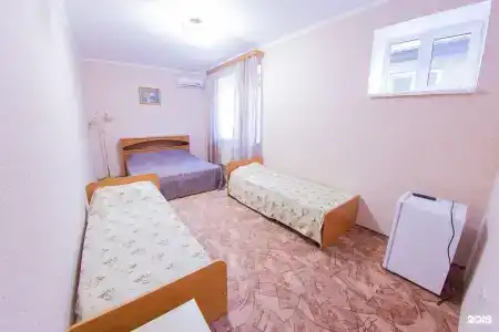 Диана - 12