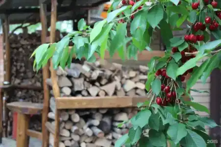 У Друзей - 35