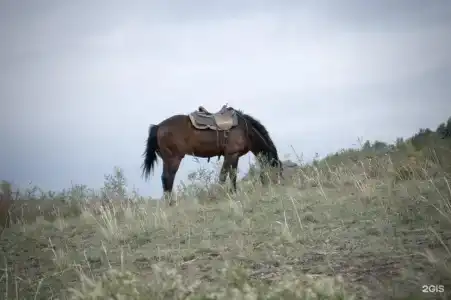 У Родника - 45