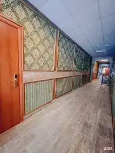 Снежный - 16