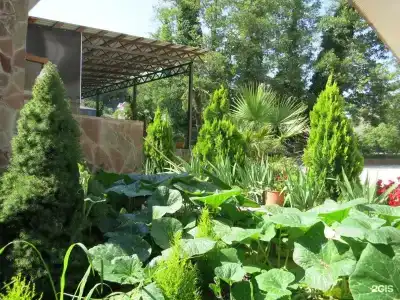 Добрый кит - 22