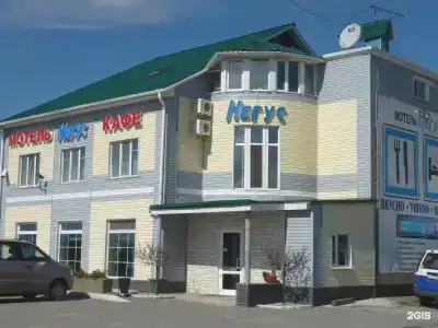 Негус - 40