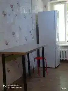 Панда - 13
