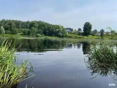 Черёха - 34