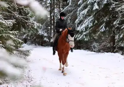 Старая Слобода - 40