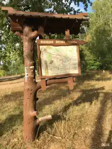 Флюгер - 18