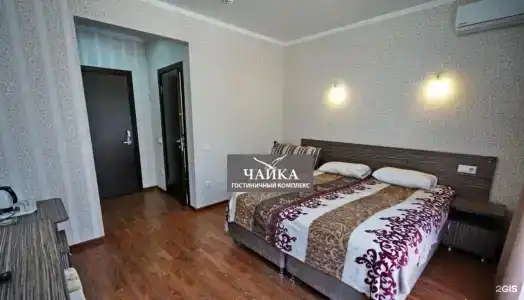Агава - 29