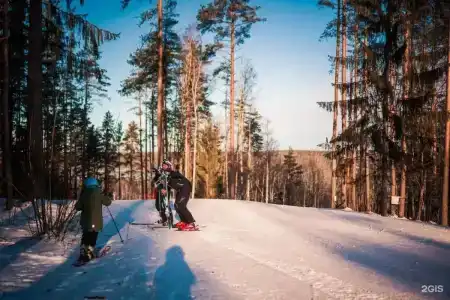 Cosmos Красное Озеро - 59