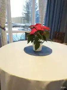 в Петровском - 30