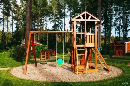 Ефимов бор - 6