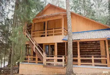 Царский лес - 32