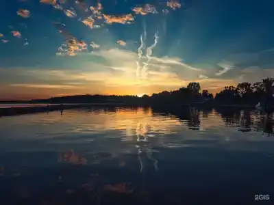 Веточка - 22