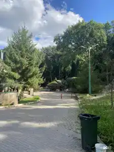 Поместье Медведевых - 3