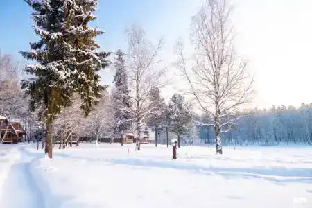 Берендеевка - 18
