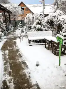 Зелёный Уголок - 18