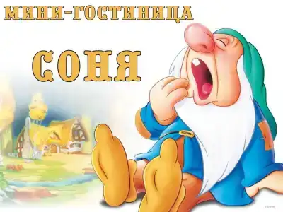 Соня - 15