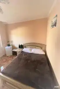 Киви и Цитрус - 78