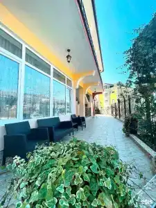 Киви и Цитрус - 21