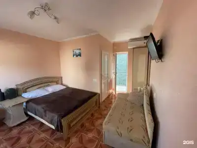 Киви и Цитрус - 44