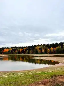 Спорт - 31