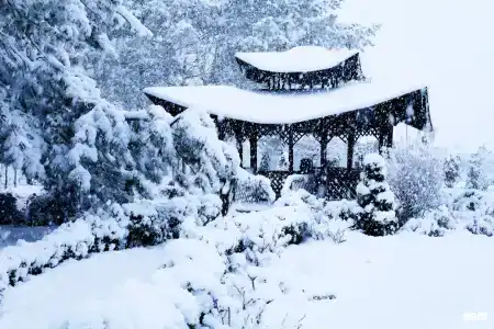 Санаторий Лаба - 24