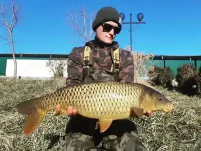 Санаторий Лаба - 92