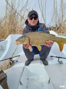 Fish Sense - 178