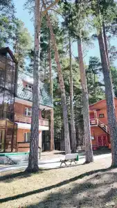 Родники - 58