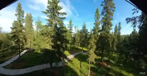 Экостровская - 3
