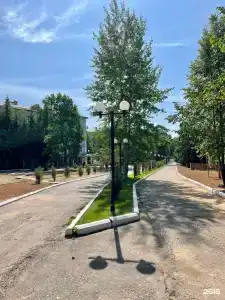 Ливадия-Татарстан - 89