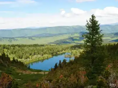 Уймонская Жемчужина - 23